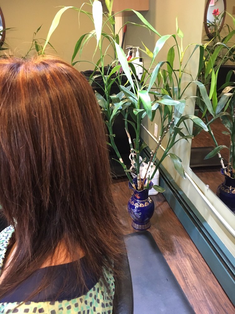 Haircut, color and highlights